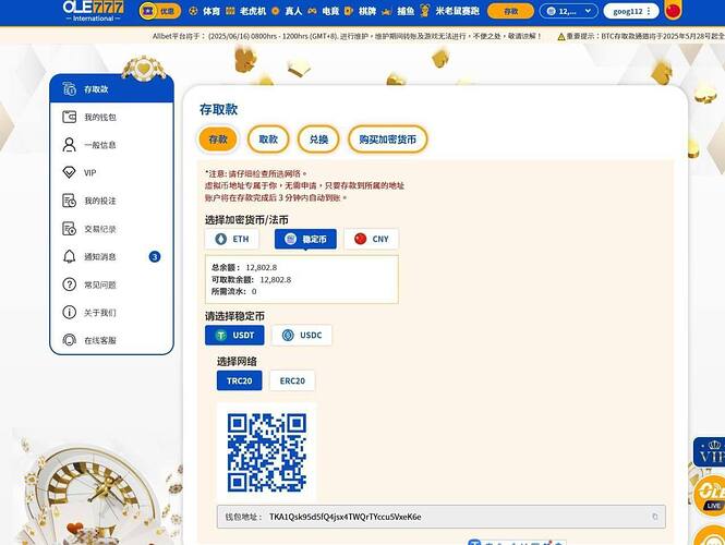 IMAGE 2025-11-17 23:46:11