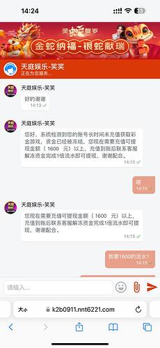 IMAGE 2026-02-08 21:35:21