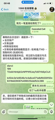 IMAGE 2026-02-28 03:22:37